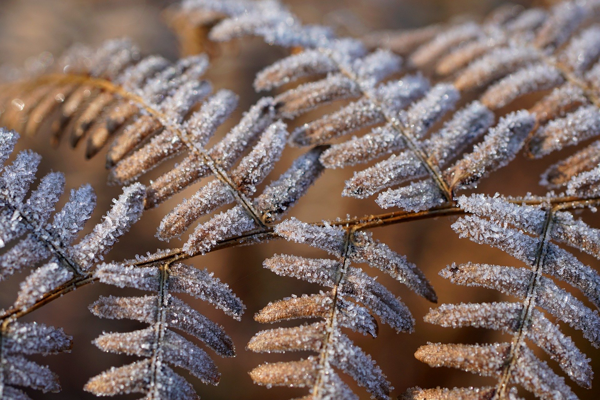 Ipotesi di Contratto Decentrato Integrativo Normativo di Ente ai sensi del CCNL del Comparto Funzioni Locali del 23.02.2026 - Strumenti di Lavoro